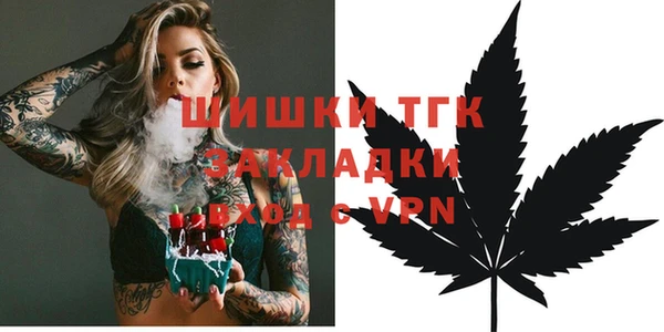 PSILOCYBIN Горно-Алтайск