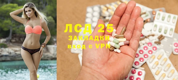 PSILOCYBIN Горно-Алтайск