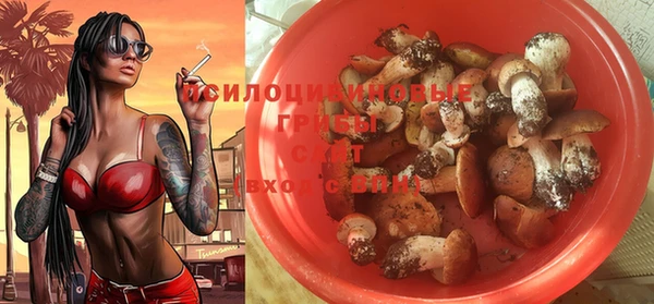 PSILOCYBIN Горно-Алтайск
